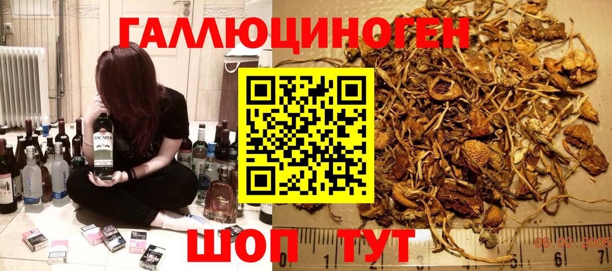 Астрахань  магазин продажи наркотиков  Вход с VPN  Галлюциногенные грибы мицелий  Галлюциногенные грибы прущие грибы 