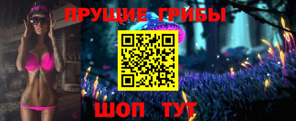 Псилоцибиновые грибы мицелий Астрахань