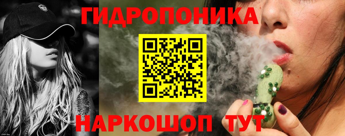 Конопля планчик Астрахань